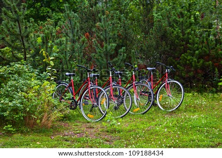 Group of several cycles in the forest
