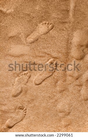 Human footprints on a golden seashore sand