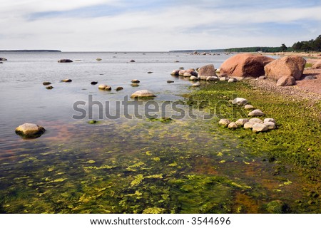 Low tide on a Finish gulf shore, North-West Russia