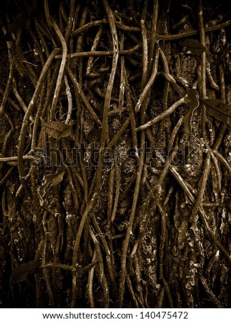 Roots texture in brown tones.