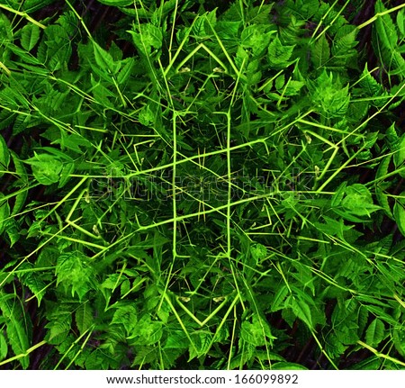 Digital photo manipulation pattern background made from leaves in saturated green colors.