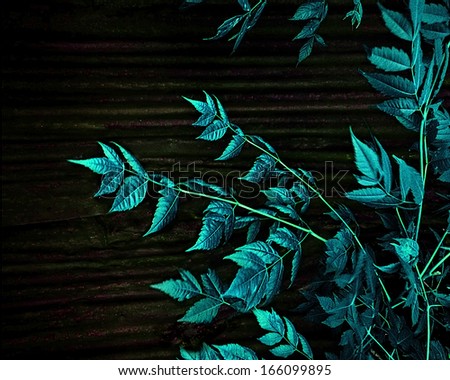 Elegant nature motif background with artificial cold tones leaves against wood background.