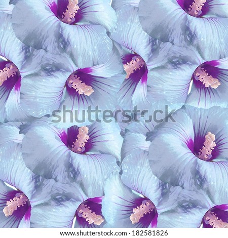 Digital photo collage and manipulation pattern artwork with flowers motif in cold tones