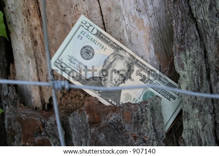 Twenty dollar bill behind fence. Money in focus.