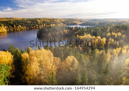 Steam above the forest on an early autumn morning in Aulanko nature conservation area in Finland.