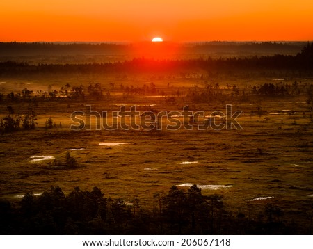 Sun rising on an early morning at the Torronsuo Swamp in Finland. The sun just barely visible on the horizon.