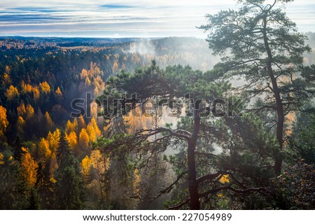 Dramatic HDR landscape with trees and forest in autumn. Autumn colors shining and mist rising from foggy forest of Aulanko Nature Park in Finland.