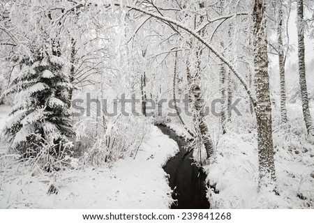 Wintry landscape with a creek in the forest in Finland. Snowy trees in the woods surrounding the stream.