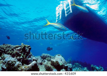 Boat From Below