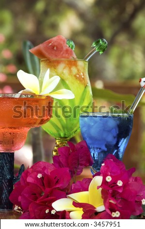 Focus on front 2 drinks.  Colorful tropical drinks, homemade conconcoctions of great rum ,tequila, vodka and other mixers