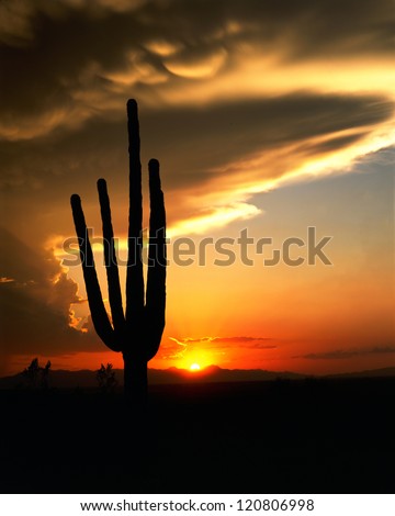 Saguaro silhouette on desert stormy sunset sky/Beyond the Sunset/Storm is over, sun is setting giving the colors of red and gold a place of honor in the evening sky.