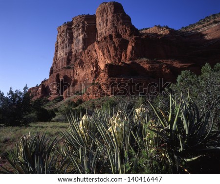 Sedona, Arizona, Famous vacation spot for the whole family/Sedona/Perfect place for mild weather, red rock formations, open spaces, water recreation sports, shopping, hiking and natures beauty.