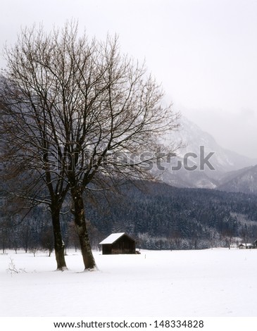 German Alps in a full blown winter storm./snow storm in alps/It is white out in the German alps as the storm gathers around the mountain peaks.