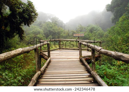 A view point of Ang Ka nature trail that covered with mist at the top of Doi Inthanon in winter season located in Chiangmai province,Thailand.