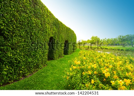 green nature wall and garden
