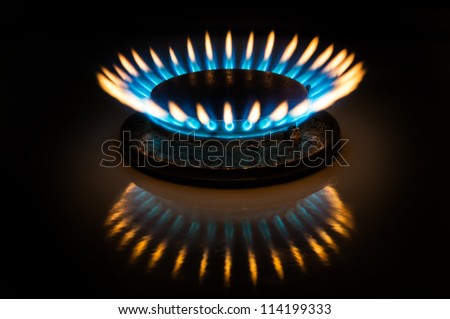 Flame of gas burner forming crown form in dark.