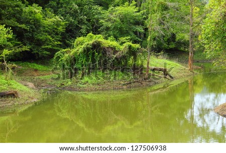 Beautiful image in green tones - Scenic view with boggy margin and thick brush reflected calm waters of pond in tropical forest, in national park of Tissamaharama (Tissa), Sri Lanka island, South Asia