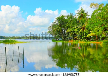 Beautiful scenic landscape of tropical palm forest and fishing device reflected at calm surface of a pure lake waters against the background of dramatic cloudy blue sky, Sri Lanka island, South Asia