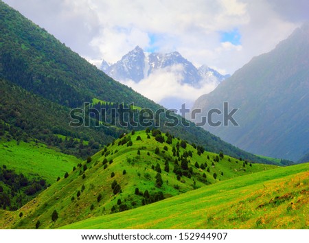 Beautiful scenic view of high mountain hillsides covered with soft wood forest and green fields, distant rugged rock with melting snow, Ala-Archa nature park, Tien Shan range, Kyrgyzstan, Central Asia