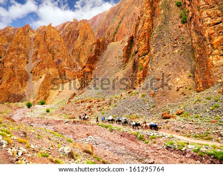 Amazing scenic view - high mountain road with small tibet caravan consisted of horses and mules against the background of rugged rock, Leh area, Ladakh range, Himalaya, Jammu & Kashmir, Northern India