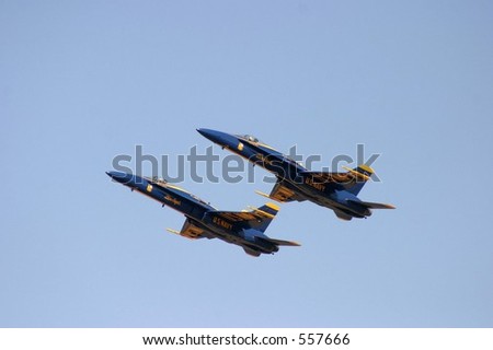 A pair of Blue Angels