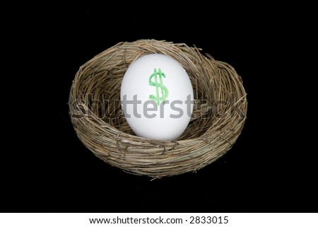 retirement nest egg dollars