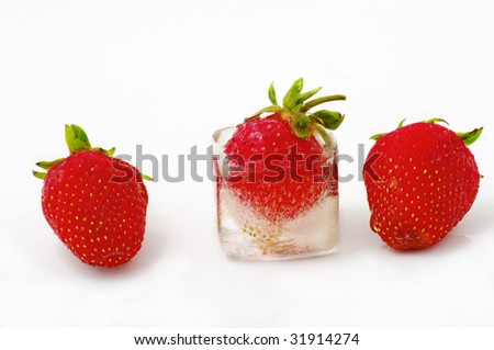 One strawberry ripe in the ice. One Strawberry fruite concept. One not bad strawberry into ice