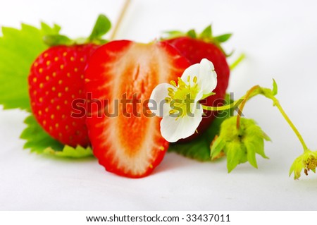 Strawberries and flowers on white background. Focus on the flower of Strawberry.