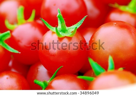red tomatoes cherry. Cherry tomatoes close-up.
