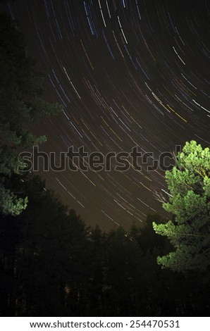 The star sky at winter night in wood. Movement of stars
