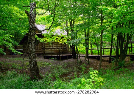 wooden house in forest