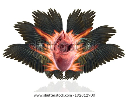 wing heart and fire