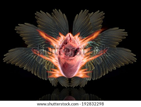 wing heart and fire Isolated on black background