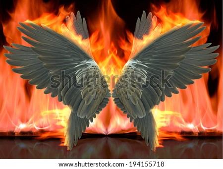 wing and  fire