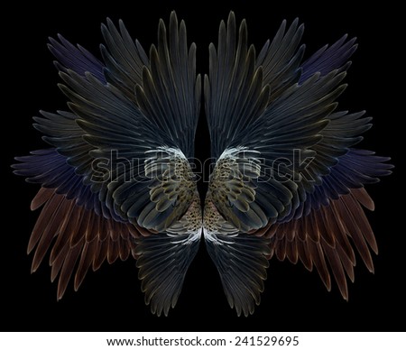 wing Isolated on background