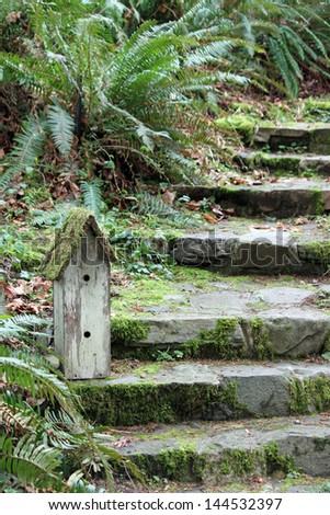 Rustic Mossy Birdhouse on Forest Stairs-teps