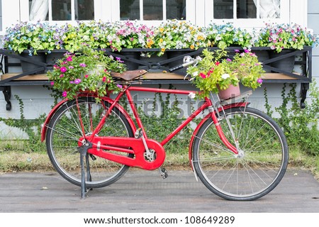 red bicycle white flower
