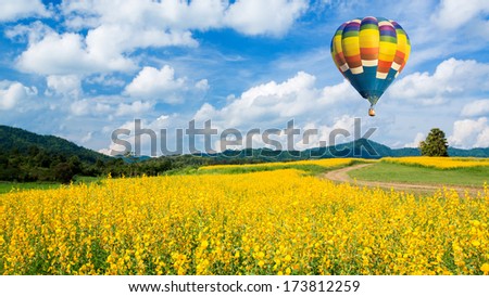Hot Air Balloon Over Yellow Flower Fields Against Blue Sky