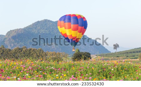 Hot air balloon over flower fields with mountain background