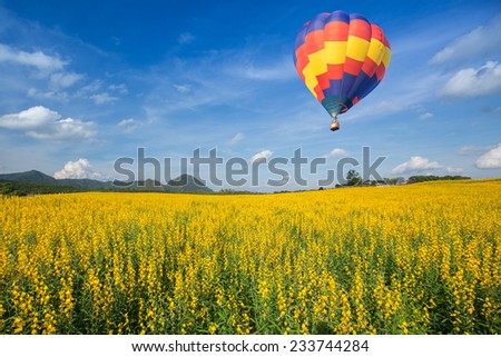 Hot air balloon over yellow flower fields