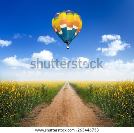 Hot air balloon over dirt road into yellow flower fields with clear blue sky