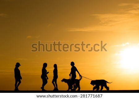 Silhouette people with the dog walking at sunset