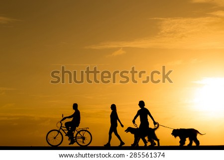 Silhouette man riding the bike and family with the dogs at sunset