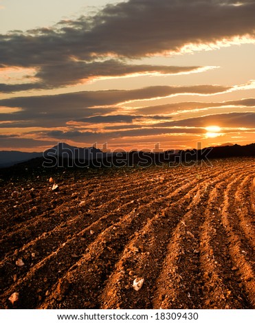plowed land, on background sun dawn the hill