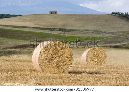 two Roll of hay on background rural landscape blurred