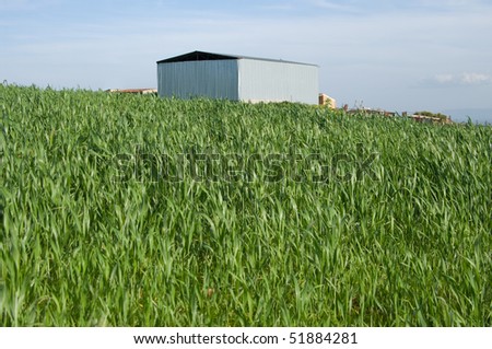 modern building for storage the fodder or the agricultural equipment in a green meadow