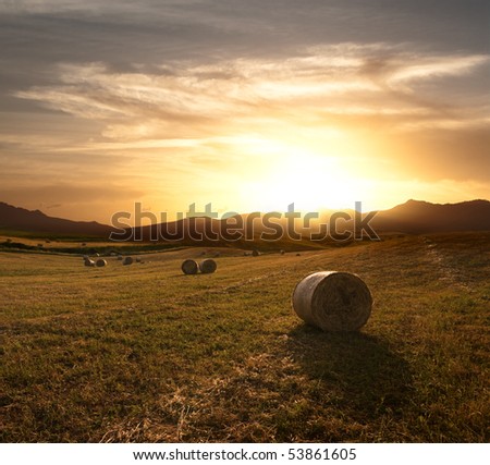 dramatic sky at the sunset over the harvest field of rolls of hay