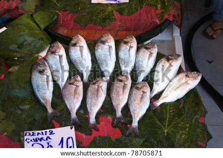 fresh fish, sea bream of Bosporus, in outdoor fish market on asian side of Istanbul near the Galata bridge, Turkey