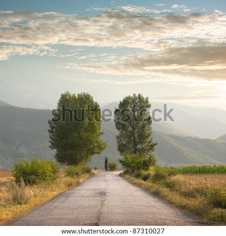 a rural road straight through two magnificent trees against a beautiful sky at sunset