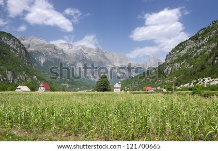 corn field and small church in Theth Valley, Albania